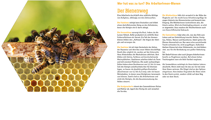 Bienenweg vorlage web 02206