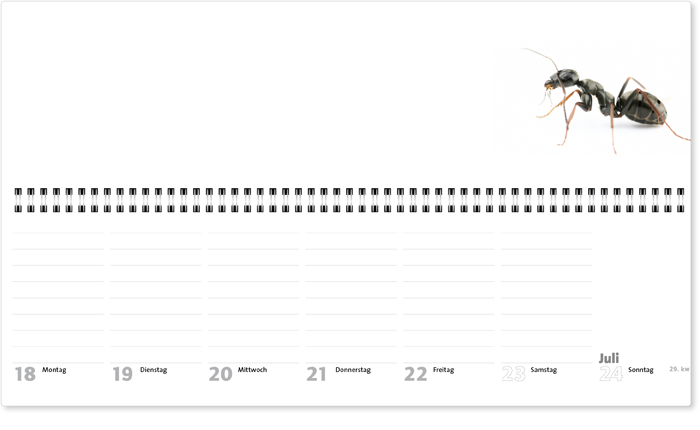 Wochenplaner-092