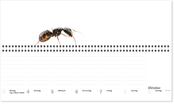 Wochenplaner-093