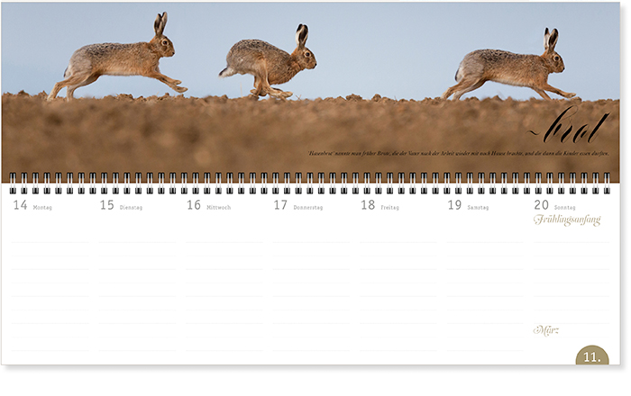 Wochenplaner 16 Kalender Vorlage Web 3